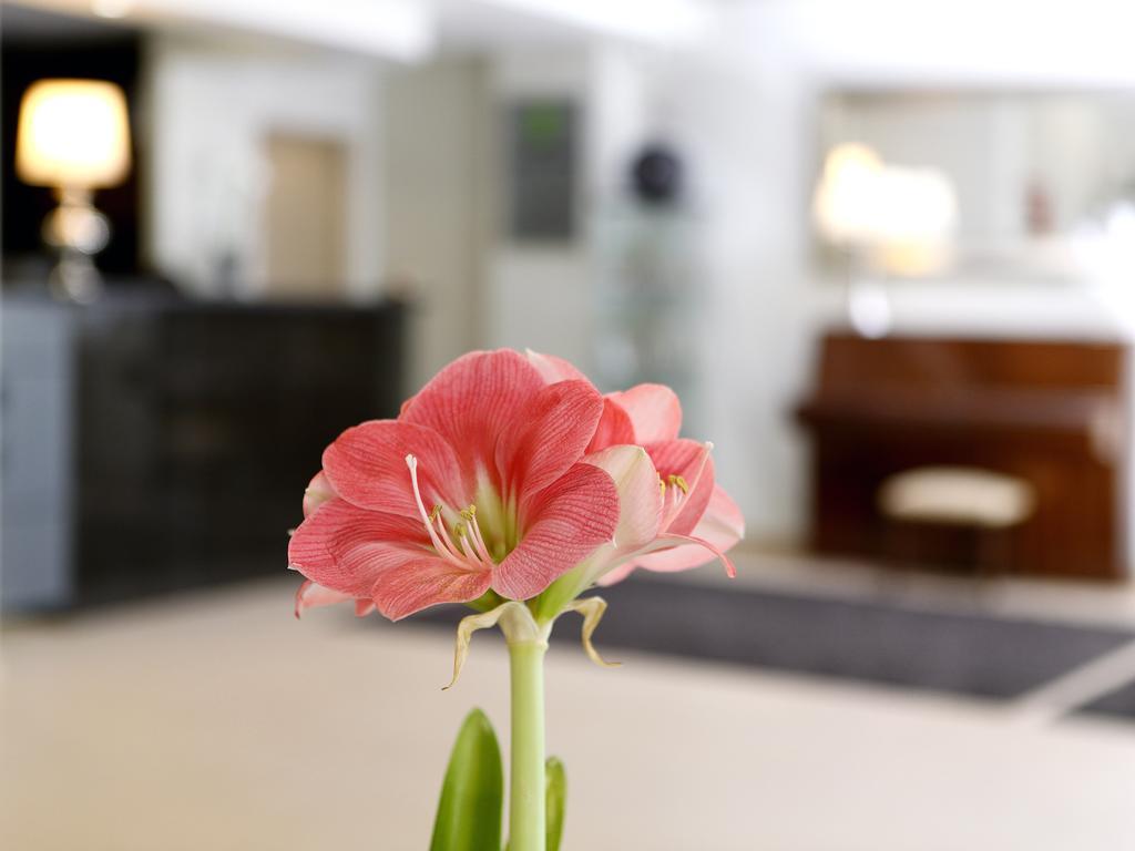 Cova Da Iria Hotel ฟาติมา ภายนอก รูปภาพ
